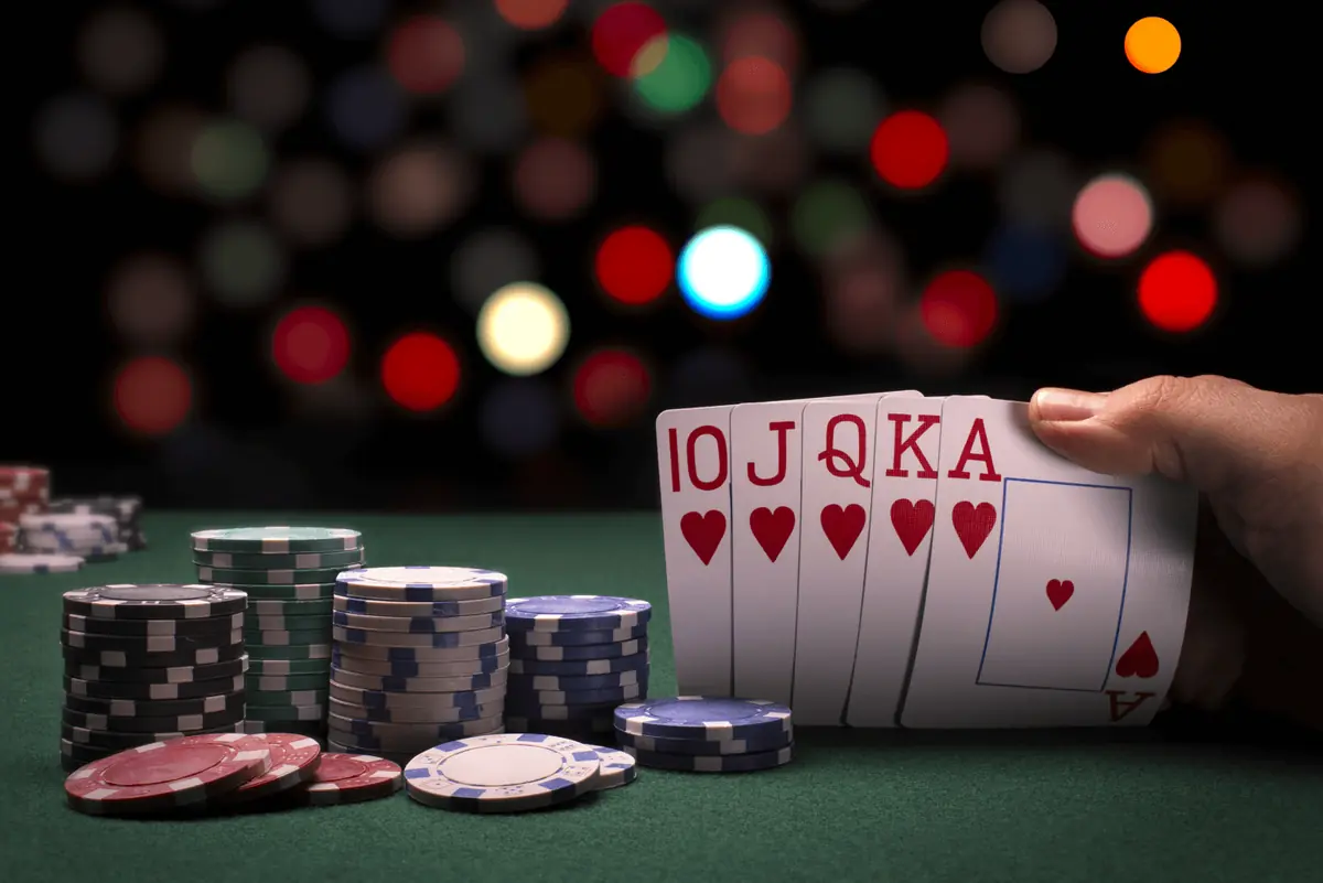 Wolfy casino poker